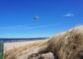 świnoujście, poland, vacations, baltic sea, świnoujście, świnoujście, świnoujście, świnoujście, świnoujście