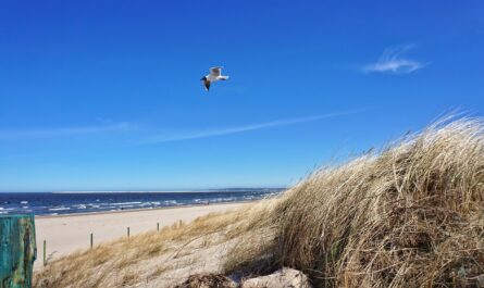 świnoujście, poland, vacations, baltic sea, świnoujście, świnoujście, świnoujście, świnoujście, świnoujście