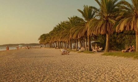 Die besten Hautärzte auf Usedom