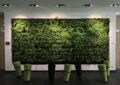 office, relaxation, workplace, business, green, career, work, minden, quality of life, profession, job, health, greening, motivation