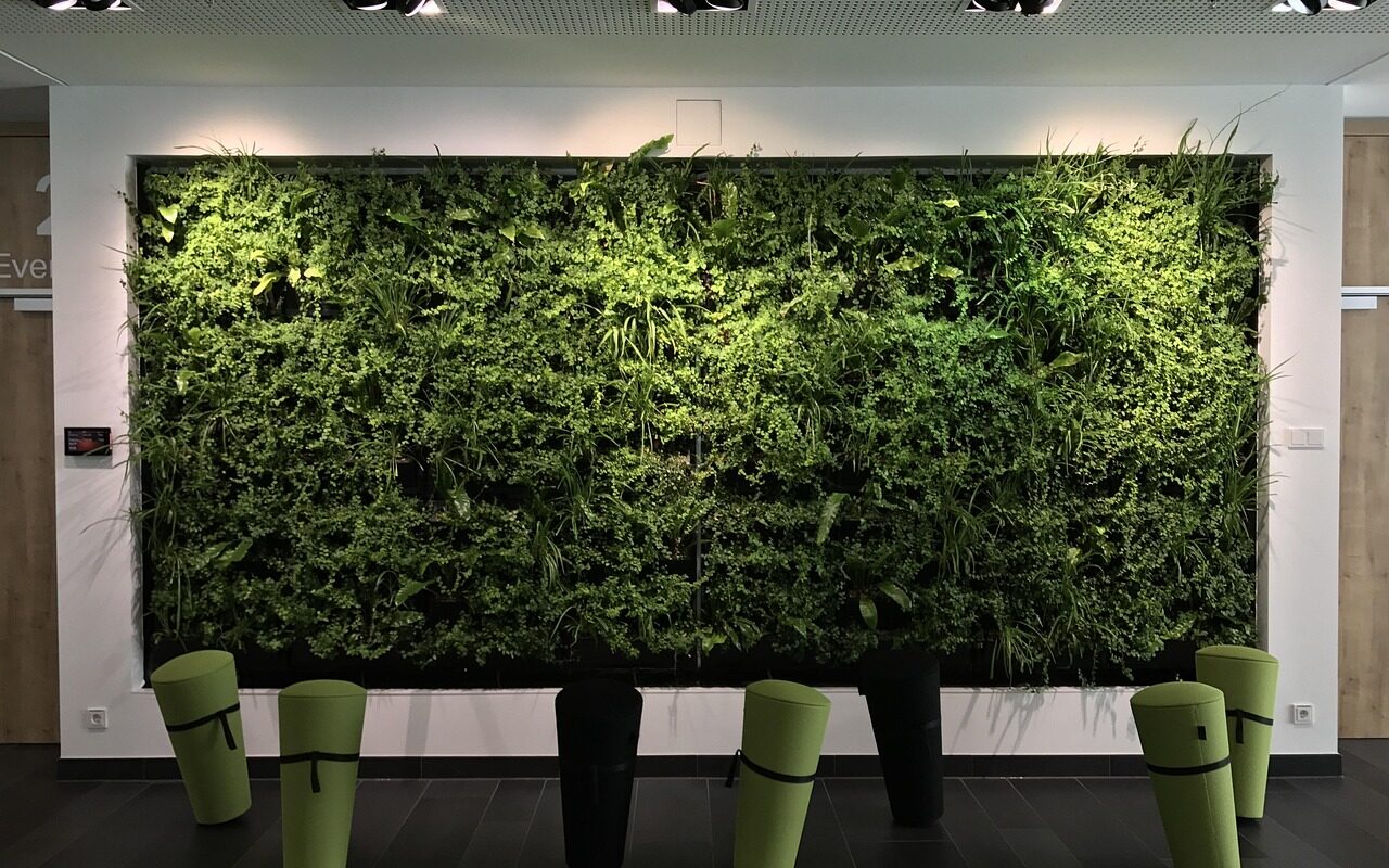office, relaxation, workplace, business, green, career, work, minden, quality of life, profession, job, health, greening, motivation