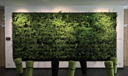 office, relaxation, workplace, business, green, career, work, minden, quality of life, profession, job, health, greening, motivation